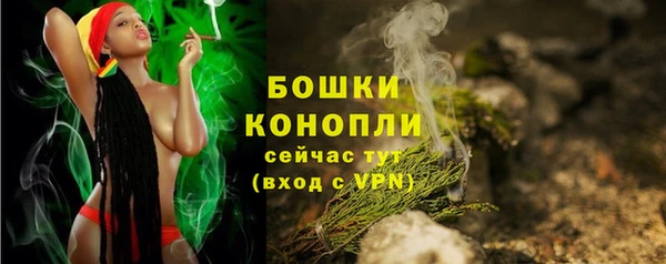 дживик Касимов