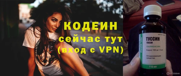 дживик Касимов