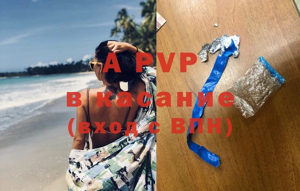 эйфоретик Карпинск