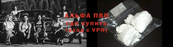 дживик Касимов