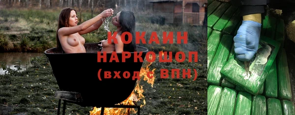 дживик Касимов