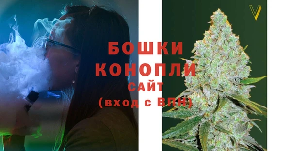 дживик Касимов